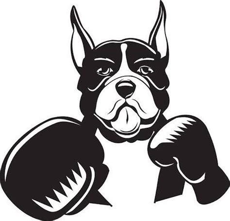 boxing forum24|general boxing forum.